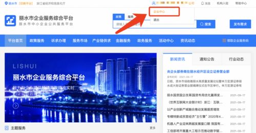 麗水企業 2021年中小微企業服務券申領正式啟動，助力信息技術咨詢服務發展